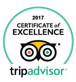 certificate of excellence 2017
