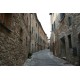 TOSCANA - 8 NIGHT GOURMET TOUR