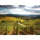 TOSCANA - 8 NIGHT GOURMET TOUR