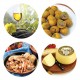 MARCHE & ADRIATIC COAST - 7 NIGHT GOURMET TOUR