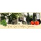 EMILIA ROMAGNA - COOKING EXPERIENCE