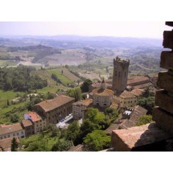 TOSCANA - SAN MINIATO & THE TRUFFLE SHOW