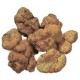 TOSCANA - SAN MINIATO & THE TRUFFLE SHOW