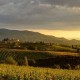 UMBRIA - LUXURY SPA RESORT