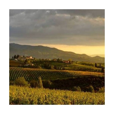 UMBRIA - LUXURY SPA RESORT
