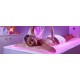 UMBRIA - LUXURY SPA RESORT