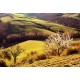 TOSCANA - SELF DRIVE 