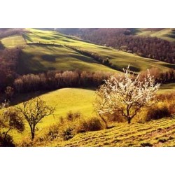 TOSCANA - SELF DRIVE 