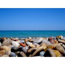 MOLISE - 4 NIGHTS ADRIATIC COAST