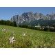 VENETO - 7 NIGHT GOURMET TOUR - LUXURY, SPA & PROSECCO